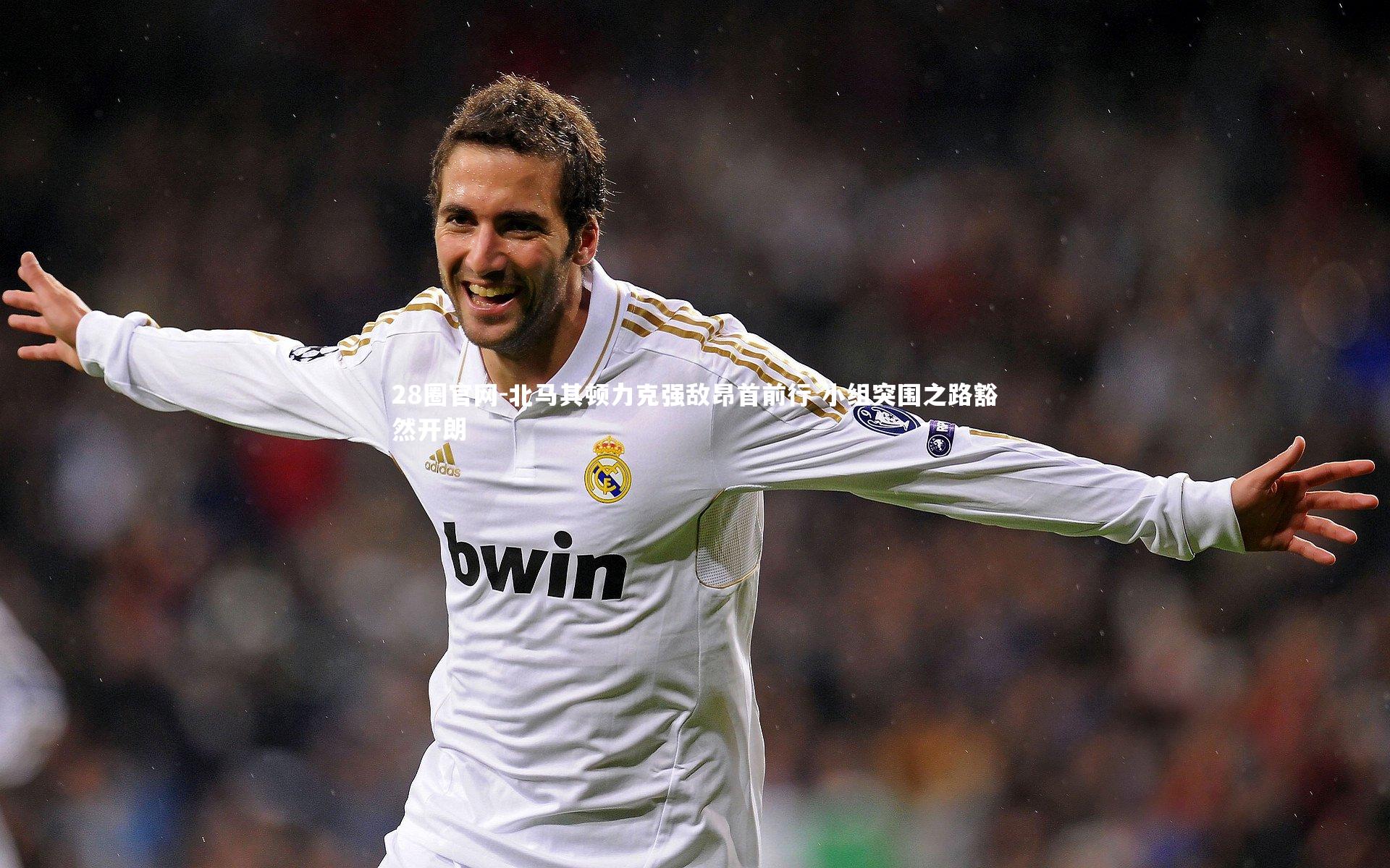 28圈官网-北马其顿力克强敌昂首前行 小组突围之路豁然开朗