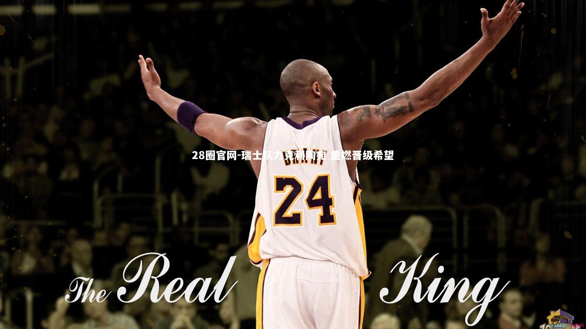 瑞士队力克利陶宛 重燃晋级希望