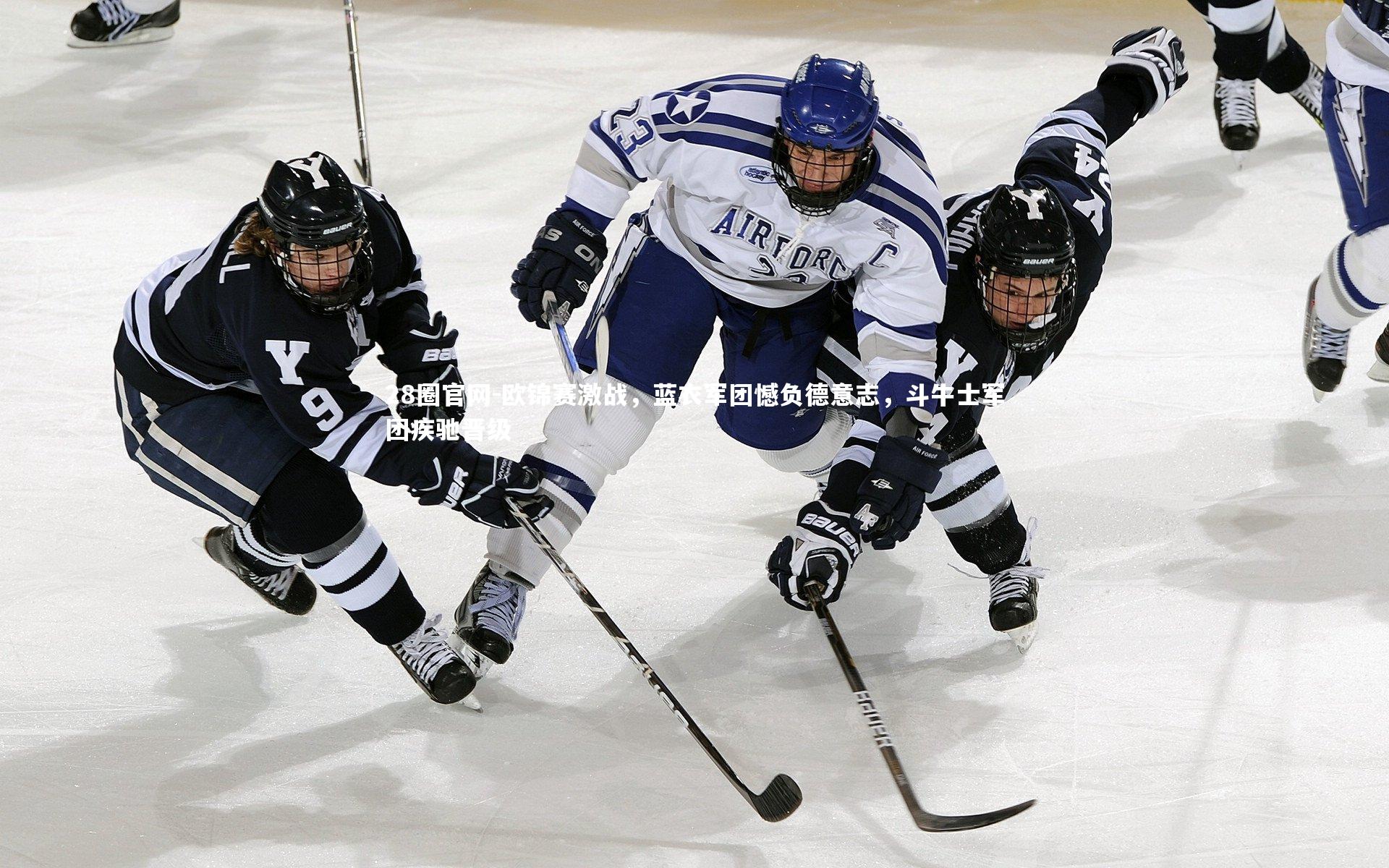 欧锦赛激战，蓝衣军团憾负德意志，斗牛士军团疾驰晋级
